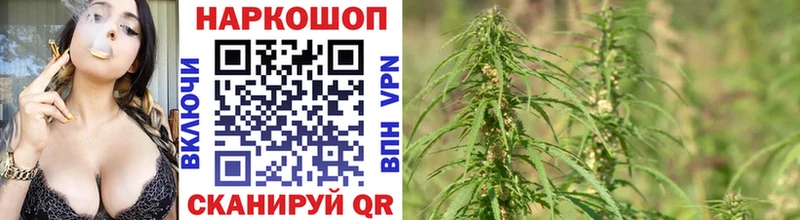 Купить MDMA  Alpha-PVP  Меф мяу мяу  Марихуана  Пионерский