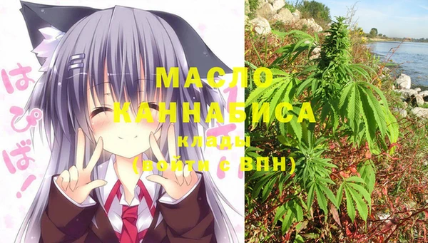 кристаллы Гусь-Хрустальный