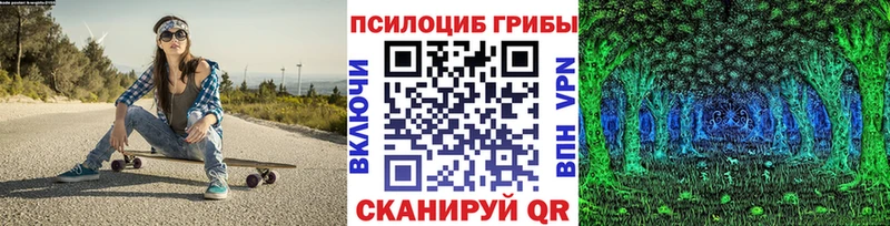 Купить  Пионерский  Галлюциногенные грибы Magic Shrooms 