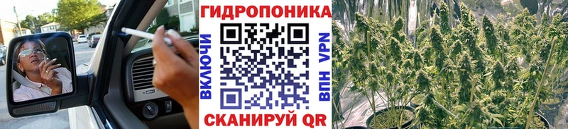 Купить  Пионерский  Марихуана конопля 